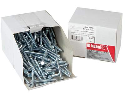 Шуруп DIN 7976 C 5.5 x 45 с шестигранной головой, острый, оцинкованный, уп. 200 шт.